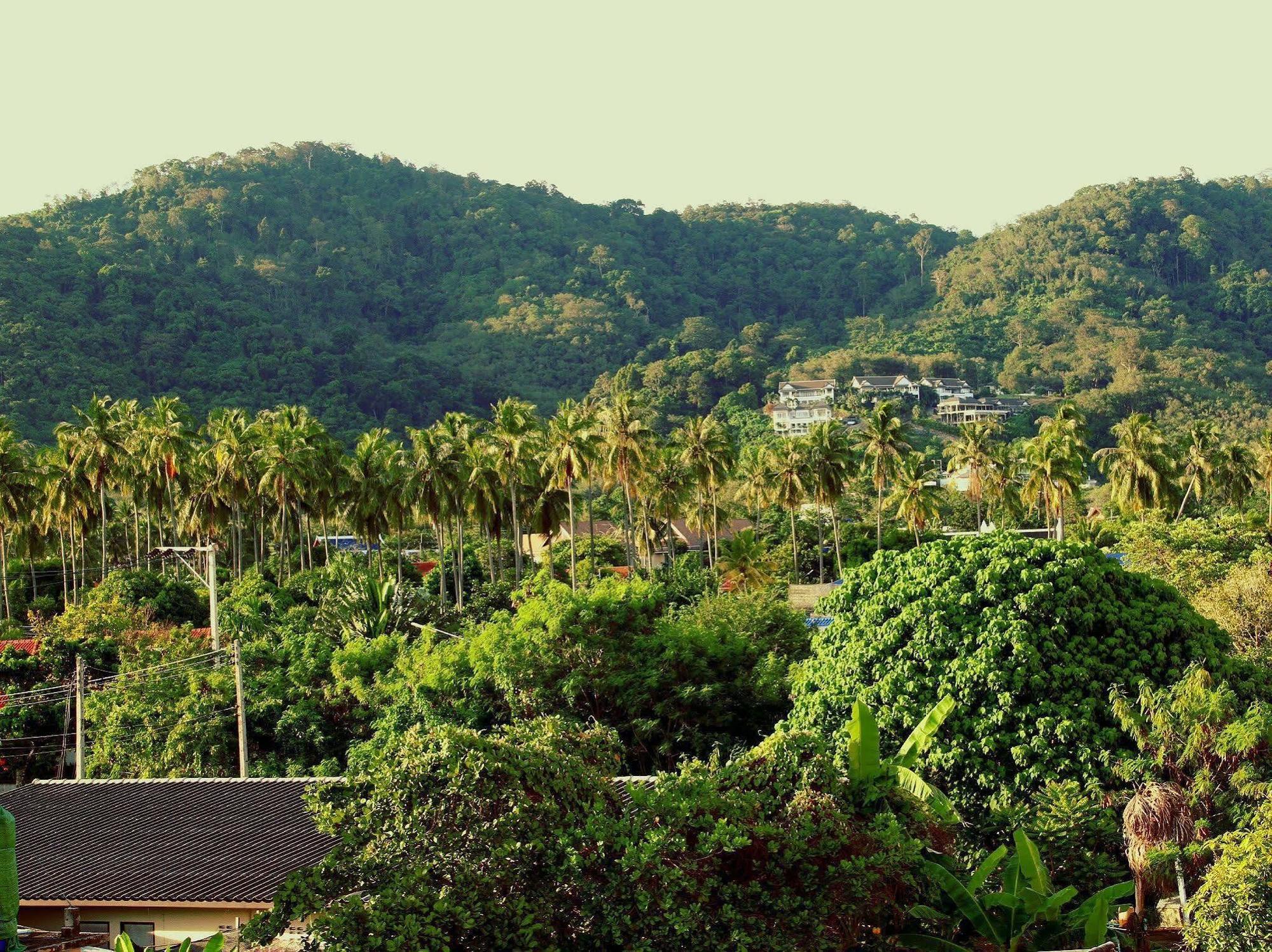 Tropical Sands Nai Harn Exteriér fotografie